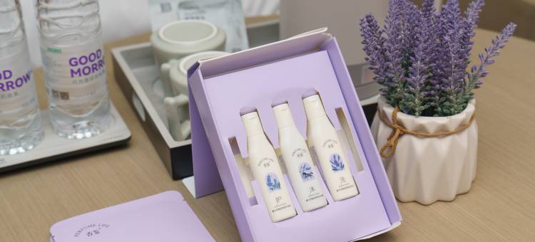 麗枫酒店(景德镇陶阳里陶瓷古玩城店)图片