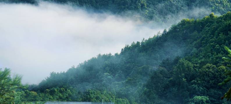 河源禾合自在民宿图片