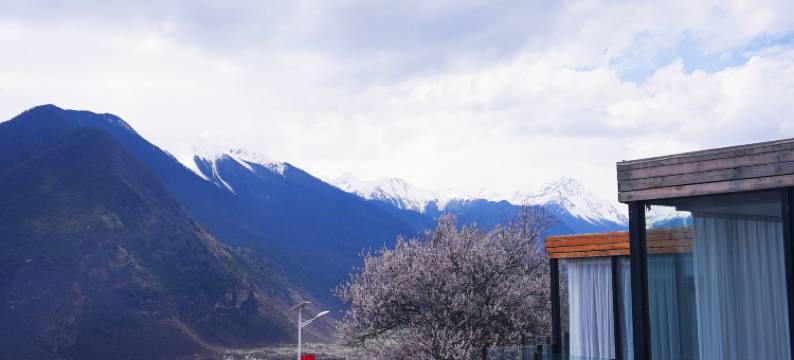 果然桃里酒店(林芝波密店)图片