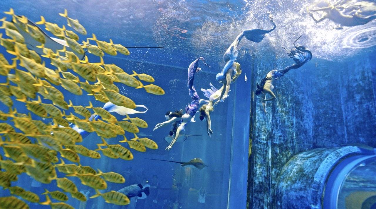 长沙大王山朗豪酒店图片