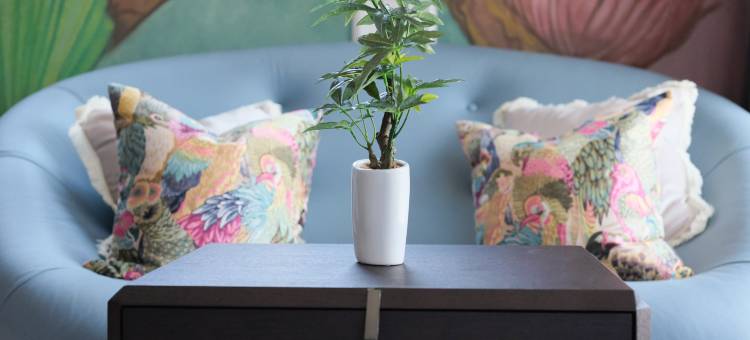 LANG Hotel 北上野(LANG Hotel Kitaueno)图片