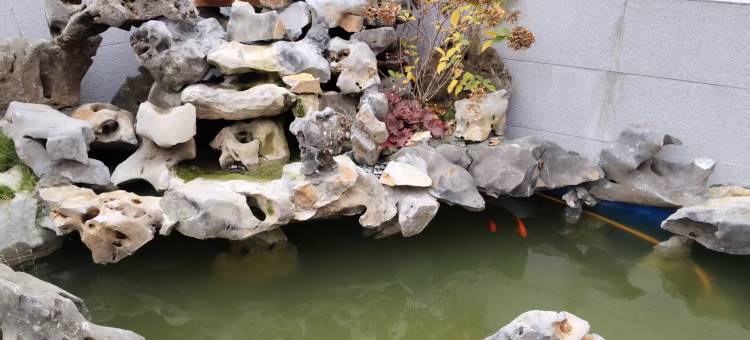 全季酒店(毕节七星关百里杜鹃路店)图片