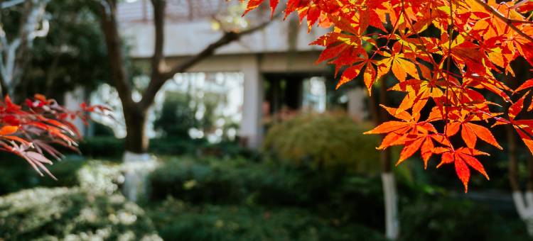 苏州金鸡湖托尼洛·兰博基尼书苑酒店图片