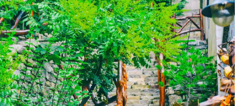 云丘山窑洞大院图片