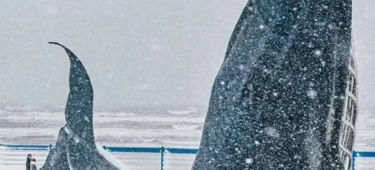 烟台金海岸希尔顿酒店图片