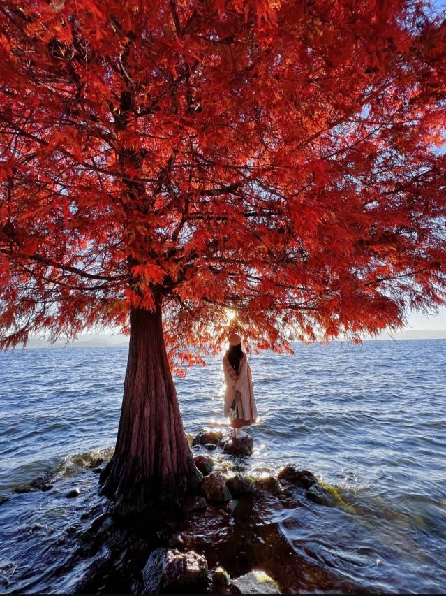 朝日闲云海景美宿(大理洱海龙龛码头观景台店)图片