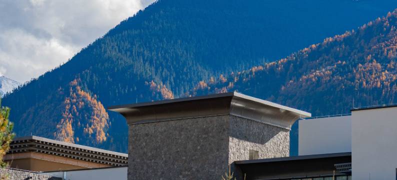 林芝藏南桃谷酒店图片