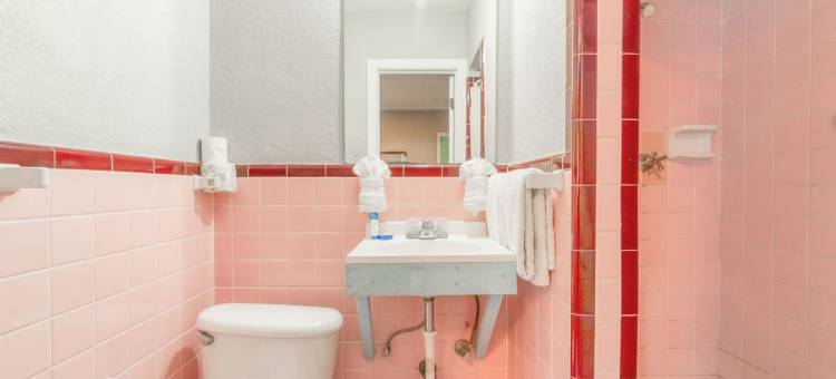 OYO 阿拉莫绿洲酒店及套房 圣安东尼奥(Alamo Oasis Inn And Suites By Oyo San Antonio)图片