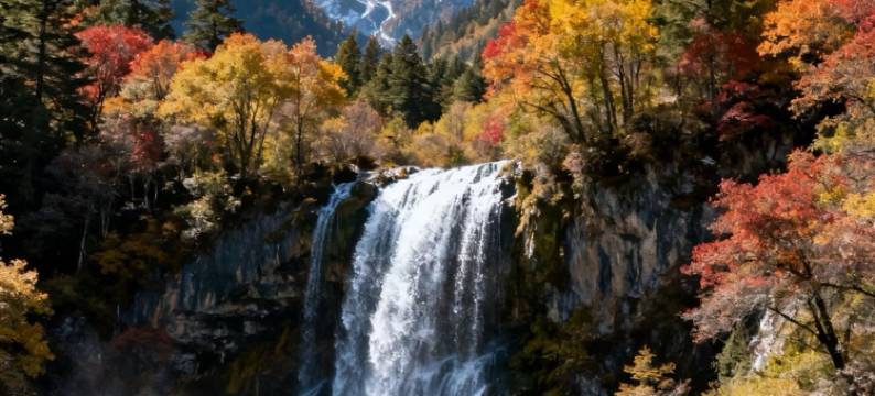 悦居酒店(九寨沟汽车站店)图片