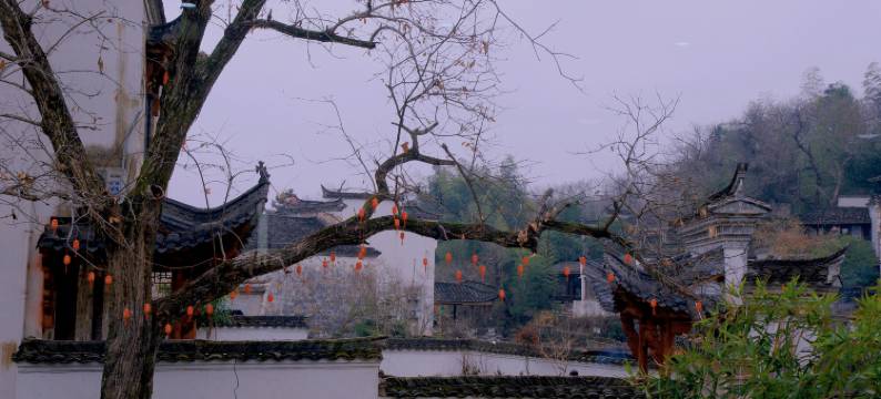 查济安予.喜舍四合院民宿图片