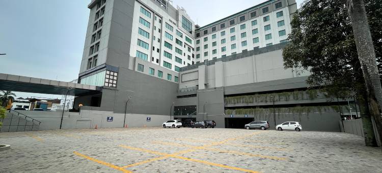 艾克塞尔顿酒店(The Excelton Hotel)图片
