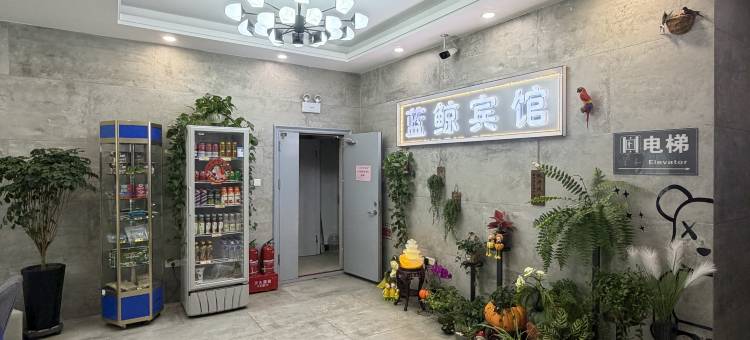 长春蓝鲸宾馆(东方广场光华学院店)图片