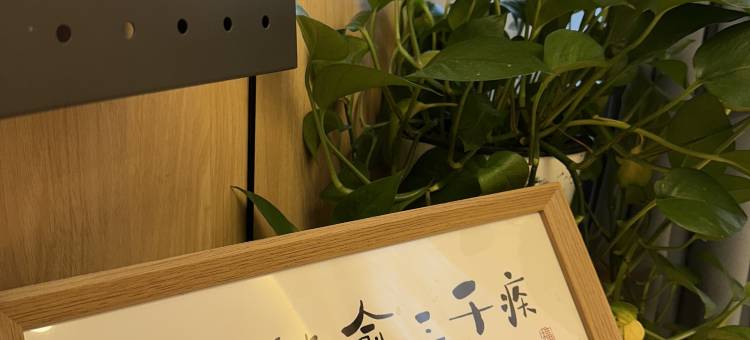 伊宁·青葡|Sunshine·阳光New庭院风·多元素主题·休闲美宿图片
