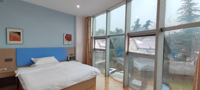 青树酒店公寓(大学城芜湖服务外包产业园店)图片