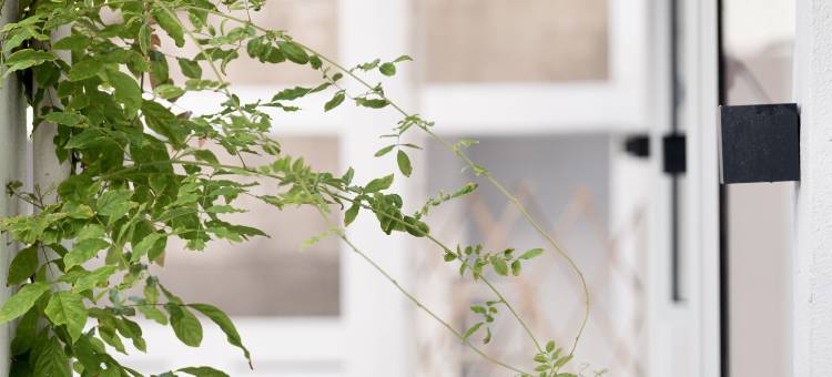 玉环望·福里民宿图片