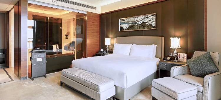 天津京基皇冠假日酒店(新国家会展中心津南大学城店)图片