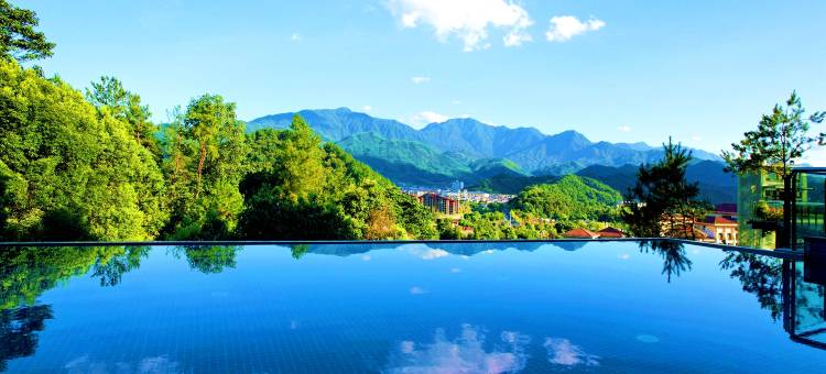 宜春明月山维景国际温泉度假酒店图片