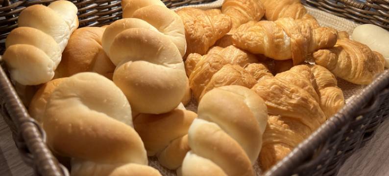 Alps酒店(Hotel Alps Osaka)图片