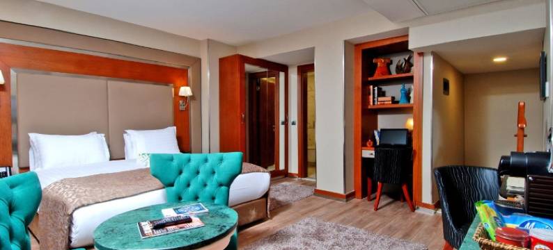 多索多西叶尼卡皮酒店(Dosso Dossi Hotels Yenikapı)图片