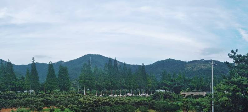 象山上影客栈图片