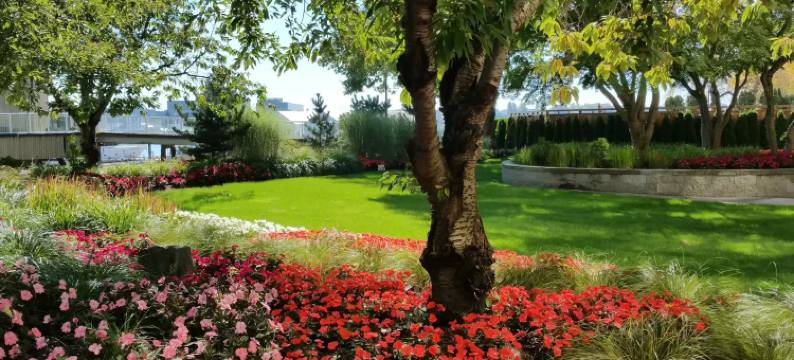 丽笙蓝标温哥华机场酒店及码头(Radisson Blu Vancouver Airport Hotel & Marina)图片