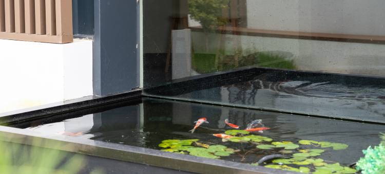 花筑·半移堂民宿(上海青溪老街店)图片