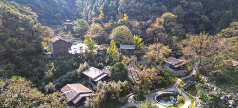 夏清金竹湾民宿图片