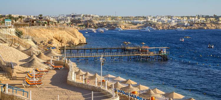 苏丹花园度假村-超全包(Sultan Gardens Resort Sharm El Sheikh - Ultra All Inclusive)图片
