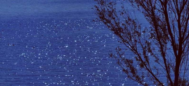 聚友白家民宿(洱海生态廊道店)图片