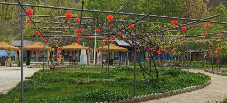 波密咔达桥兄弟农庄(波密桃花沟店)图片