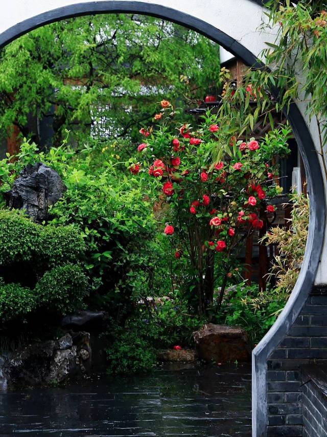 云和夜泊酒店(无锡灵山大佛拈花湾店)图片