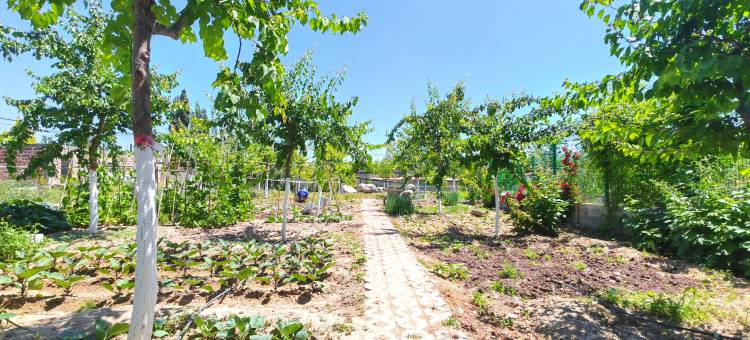 Q加·霍尔果斯六十二团雅富达商务酒店图片