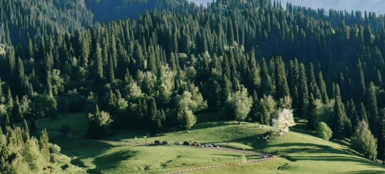 那拉提向云端民宿图片