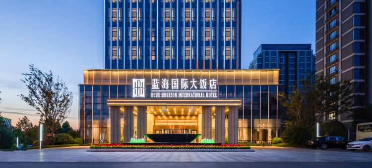 枣庄蓝海国际大饭店(枣庄高铁站双子星恒太城店)图片