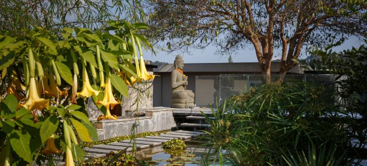 露台度假村及水疗中心(The Terraces Resort and Spa)图片