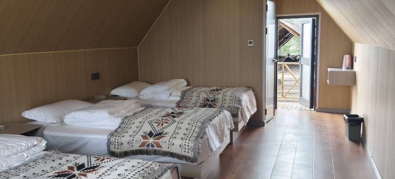 白哈巴一棵树民宿图片