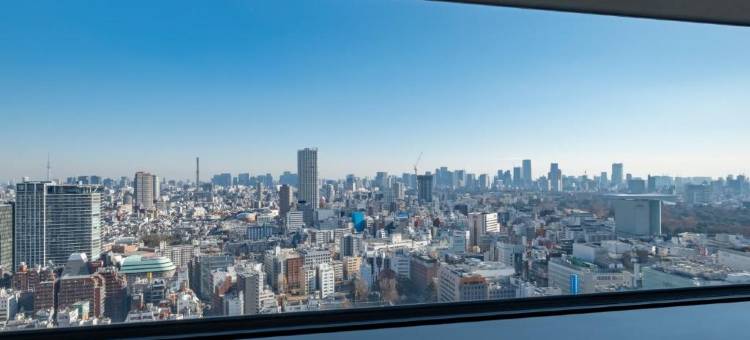 新宿格拉斯丽酒店(Hotel Gracery Shinjuku)图片