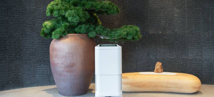 全季酒店(鄂尔多斯东胜区市民中心店)图片