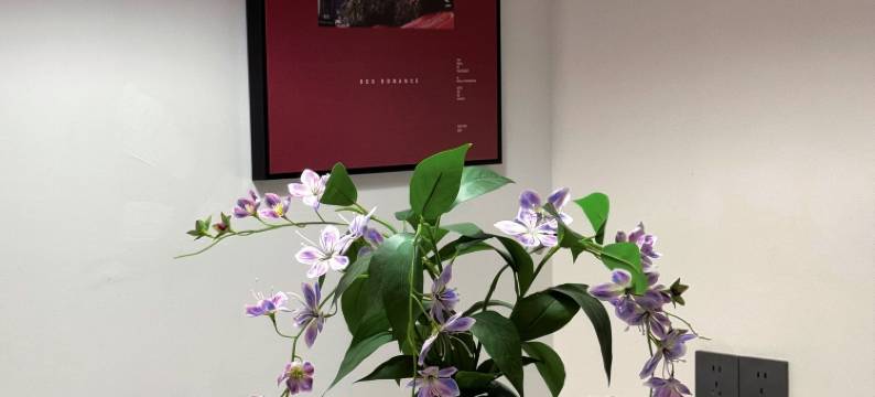 有米民宿(告庄西双景星光夜市店)图片