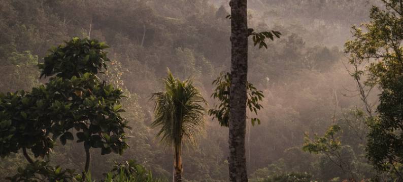贝拉鲁巴厘岛精品酒店及水疗体验(Belalu Bali Boutique & SPA experience)图片