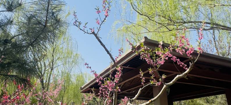 北京观山同创民宿图片