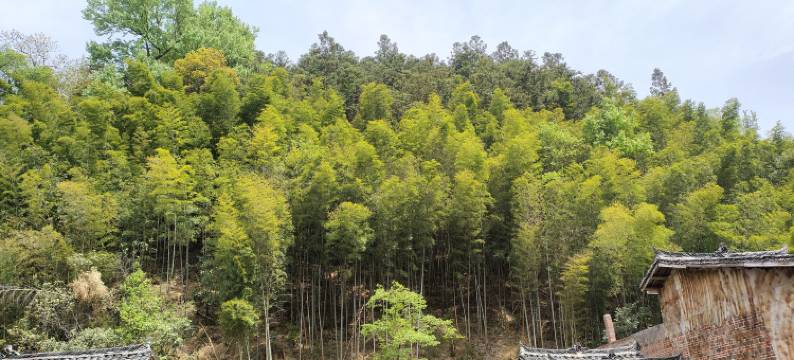 河湾侗舍客栈(肇兴侗寨景区店)图片