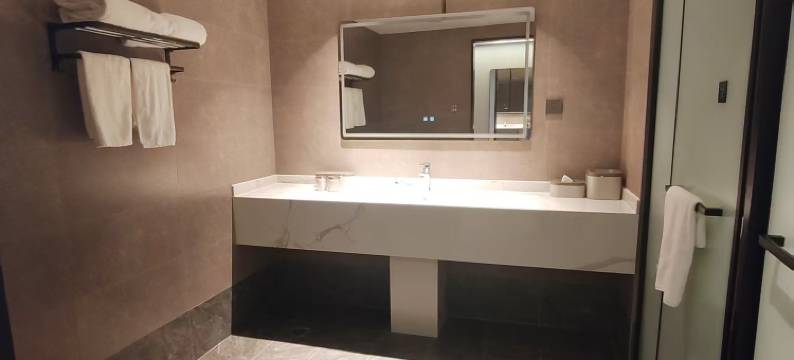 南通中央商务区泊莱德酒店图片