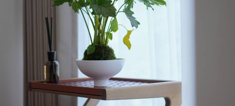 云上霆艺宿(陶源谷三宝店)图片