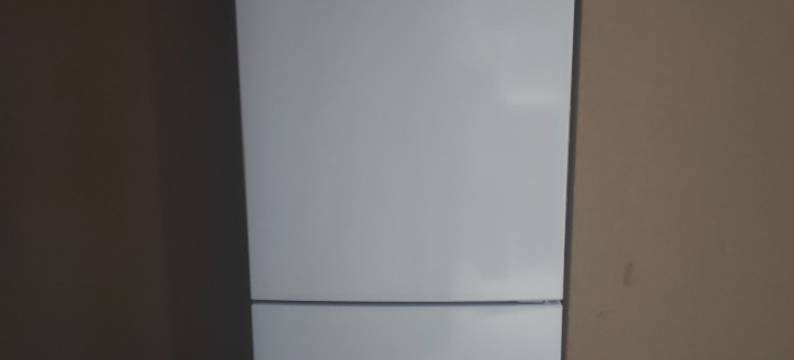 金翡丽民宿图片