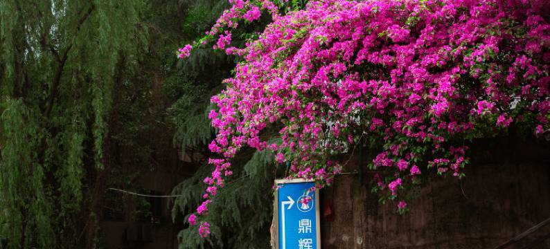 武隆鼎辉假日酒店图片