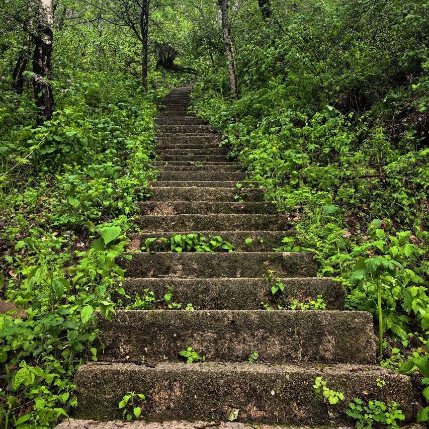 又见山·黑里河森林度假民宿图片
