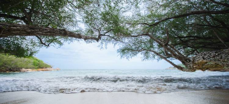 Kira Baya 沙美岛(Kira Baya Koh Samed)图片