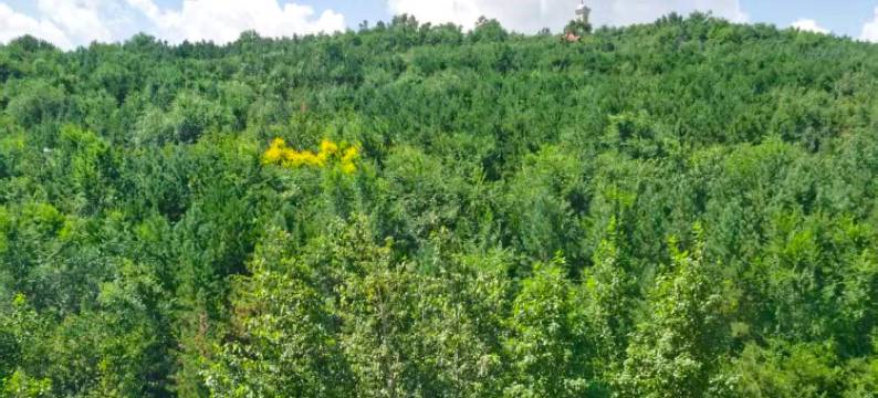 懿家酒店(乌兰察布市中心医院店)图片