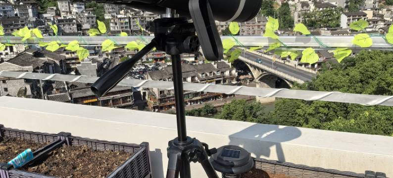 凤凰南华观景驿栈(南华门店)图片